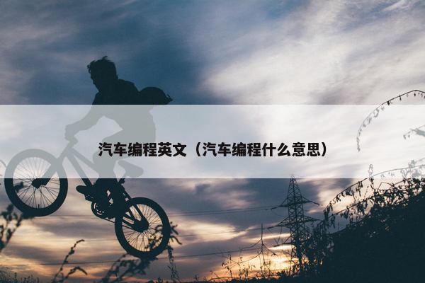 汽车编程英文（汽车编程什么意思）