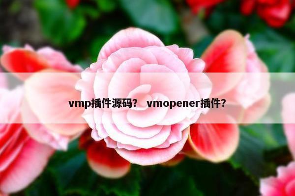 vmp插件源码？ vmopener插件？