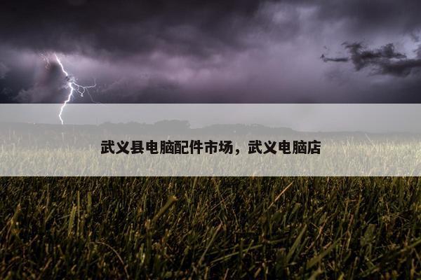 武义县电脑配件市场，武义电脑店