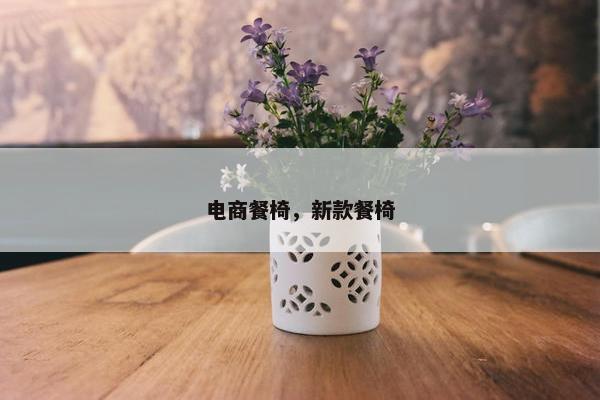 电商餐椅，新款餐椅
