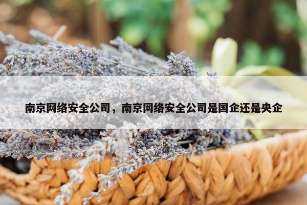 南京网络安全公司，南京网络安全公司是国企还是央企
