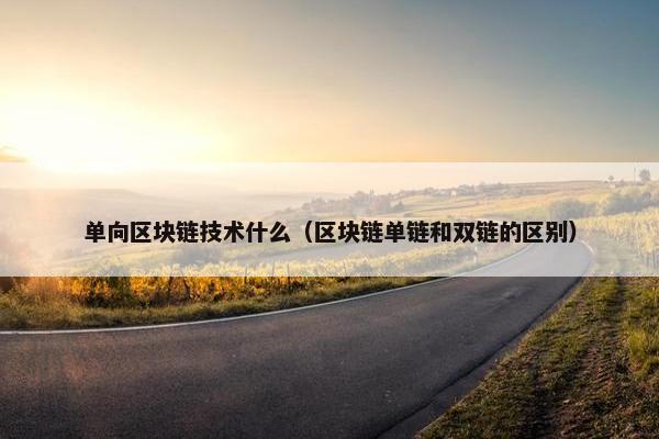 单向区块链技术什么（区块链单链和双链的区别）