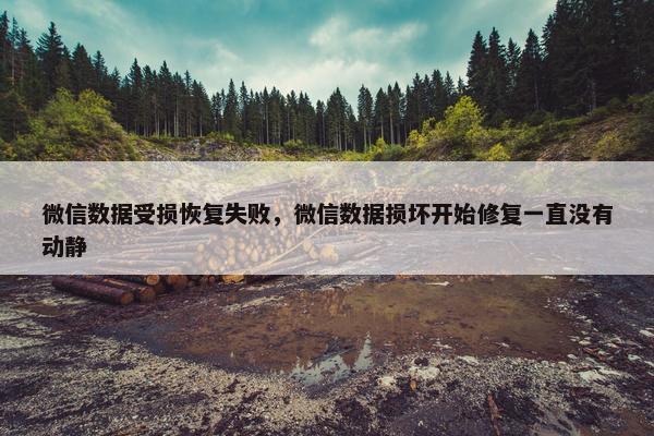 微信数据受损恢复失败，微信数据损坏开始修复一直没有动静