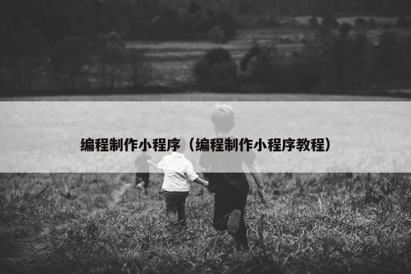 编程制作小程序（编程制作小程序教程）