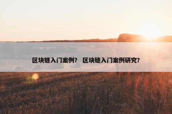 区块链入门案例？ 区块链入门案例研究？
