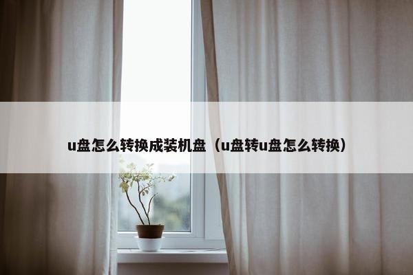 u盘怎么转换成装机盘（u盘转u盘怎么转换）
