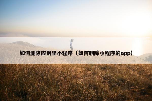 如何删除应用里小程序（如何删除小程序的app）
