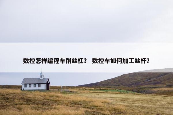 数控怎样编程车削丝杠？ 数控车如何加工丝杆？