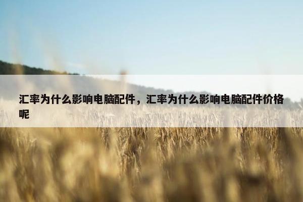 汇率为什么影响电脑配件，汇率为什么影响电脑配件价格呢