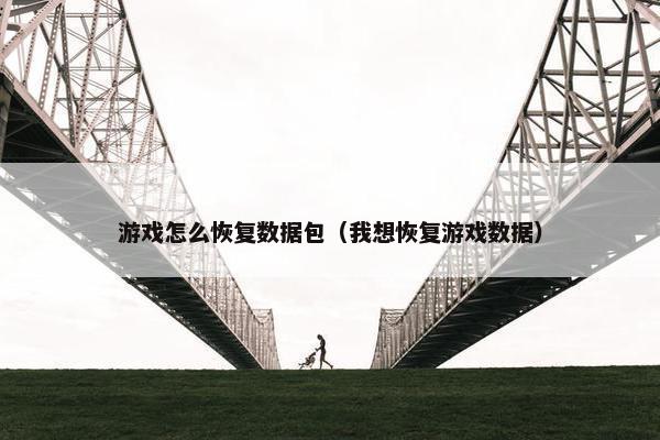 游戏怎么恢复数据包（我想恢复游戏数据）
