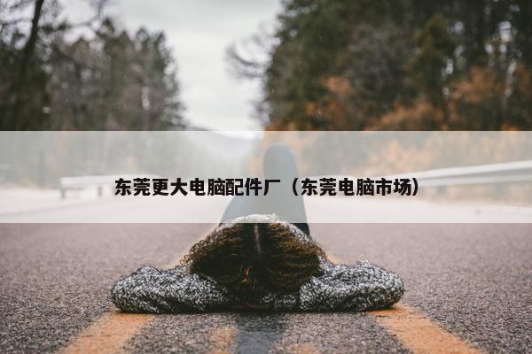 东莞更大电脑配件厂（东莞电脑市场）