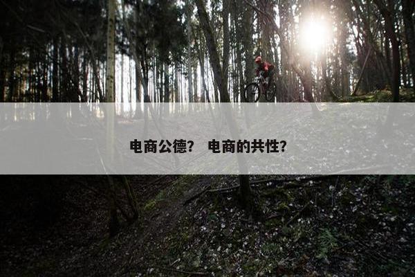 电商公德？ 电商的共性？
