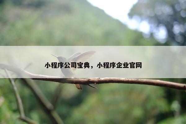 小程序公司宝典，小程序企业官网