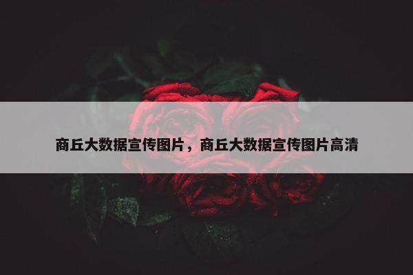 商丘大数据宣传图片，商丘大数据宣传图片高清