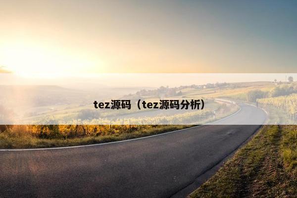 tez源码（tez源码分析）