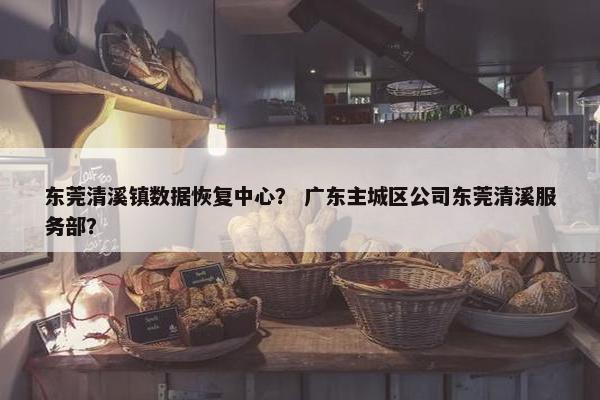 东莞清溪镇数据恢复中心？ 广东主城区公司东莞清溪服务部？