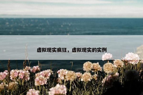 虚拟现实疯狂，虚拟现实的实例