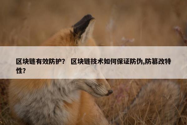 区块链有效防护？ 区块链技术如何保证防伪,防篡改特性？
