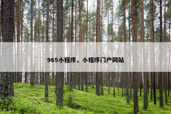 965小程序，小程序门户网站