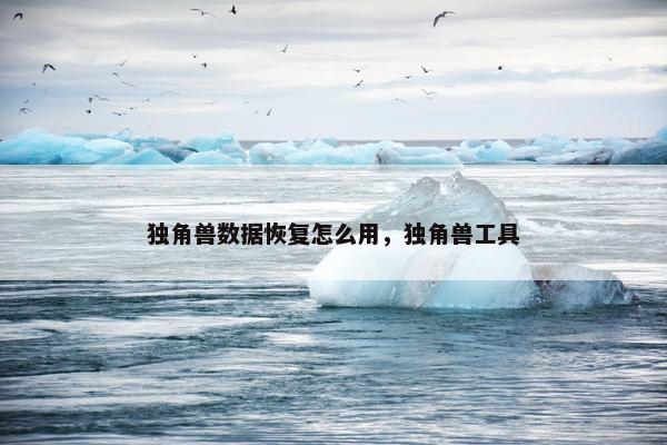 独角兽数据恢复怎么用，独角兽工具