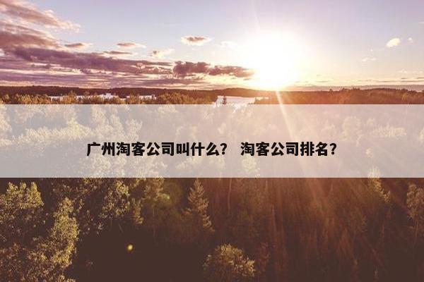 广州淘客公司叫什么？ 淘客公司排名？
