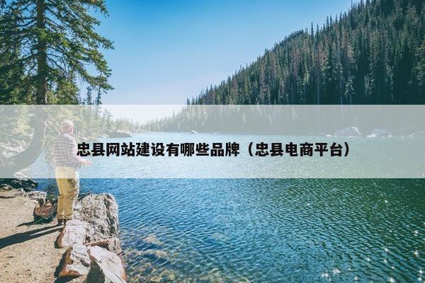 忠县网站建设有哪些品牌（忠县电商平台）