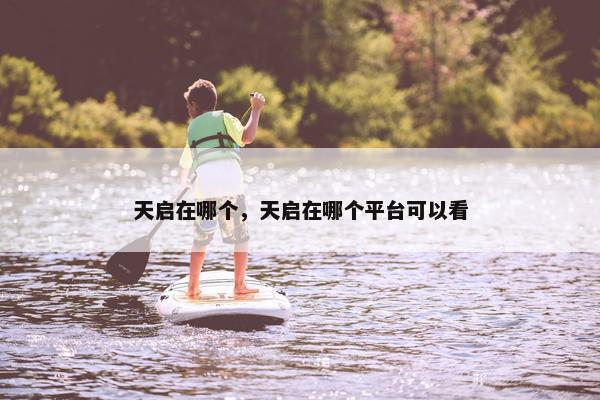 天启在哪个，天启在哪个平台可以看
