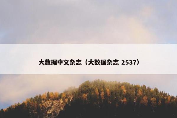 大数据中文杂志（大数据杂志 2537）