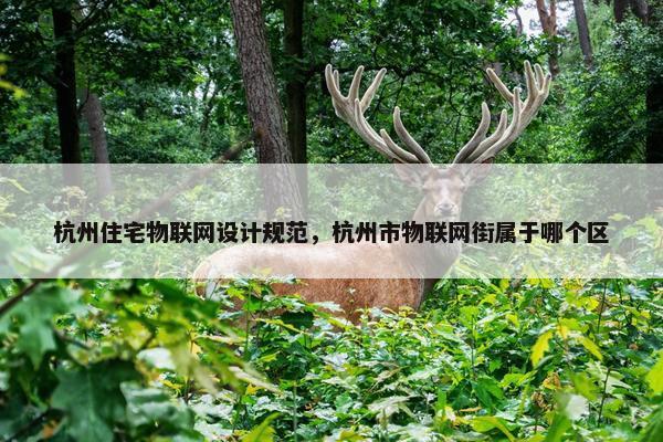 杭州住宅物联网设计规范，杭州市物联网街属于哪个区