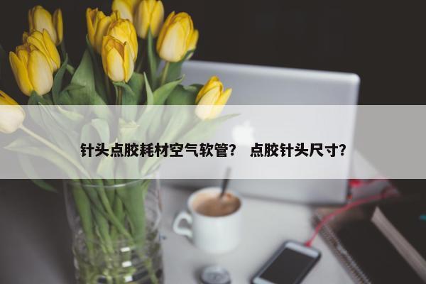 针头点胶耗材空气软管？ 点胶针头尺寸？