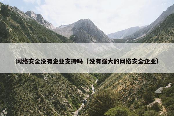 网络安全没有企业支持吗（没有强大的网络安全企业）
