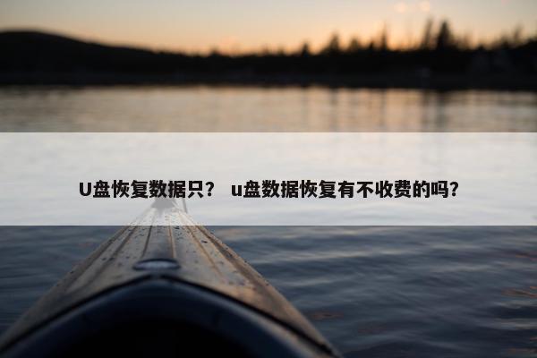 U盘恢复数据只？ u盘数据恢复有不收费的吗？