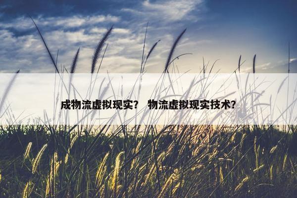 成物流虚拟现实？ 物流虚拟现实技术？