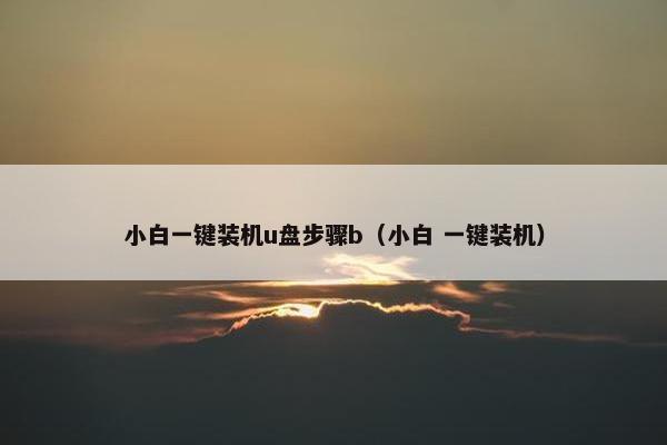 小白一键装机u盘步骤b（小白 一键装机）
