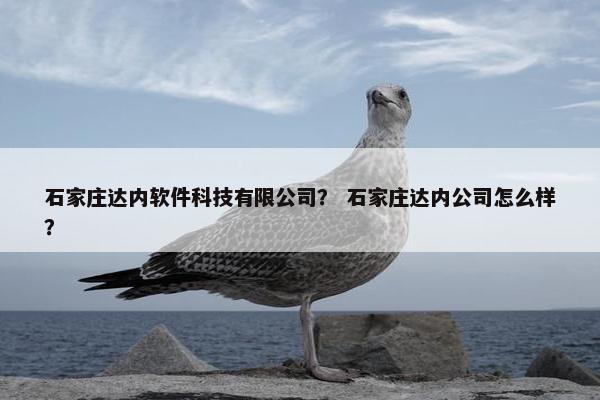 石家庄达内软件科技有限公司？ 石家庄达内公司怎么样？