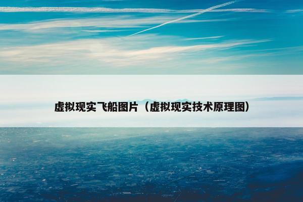 虚拟现实飞船图片（虚拟现实技术原理图）