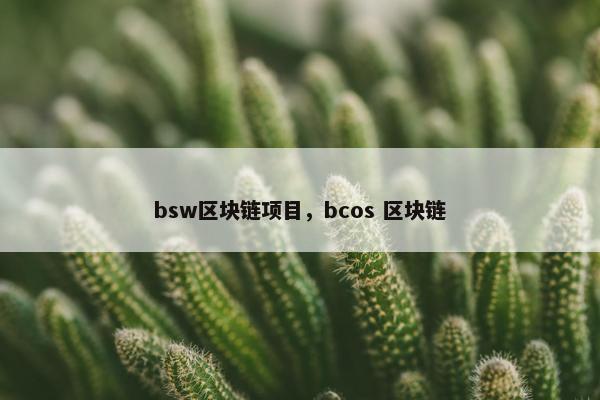 bsw区块链项目，bcos 区块链