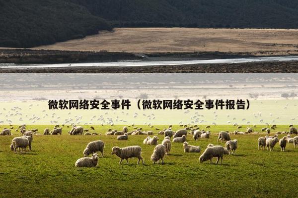微软网络安全事件（微软网络安全事件报告）