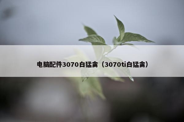 电脑配件3070白猛禽（3070ti白猛禽）
