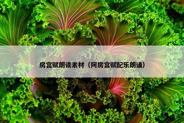 房宫赋朗读素材（阿房宫赋配乐朗诵）