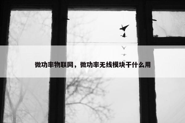 微功率物联网，微功率无线模块干什么用