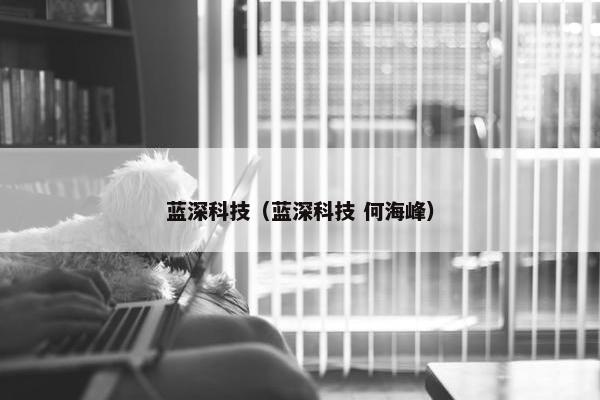 蓝深科技（蓝深科技 何海峰）