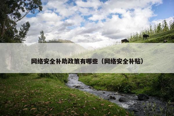 网络安全补助政策有哪些（网络安全补贴）