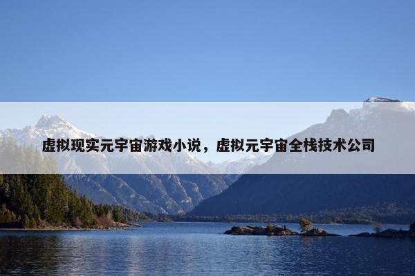 虚拟现实元宇宙游戏小说，虚拟元宇宙全栈技术公司