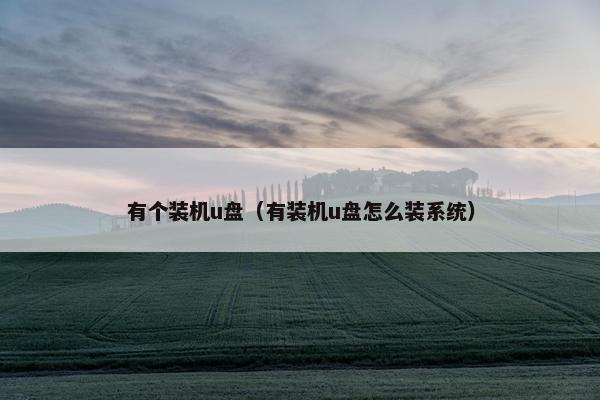 有个装机u盘（有装机u盘怎么装系统）