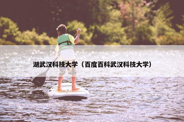 湖武汉科技大学（百度百科武汉科技大学）