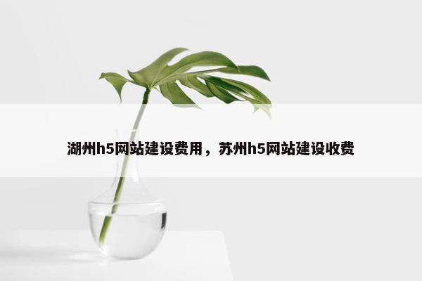湖州h5网站建设费用，苏州h5网站建设收费