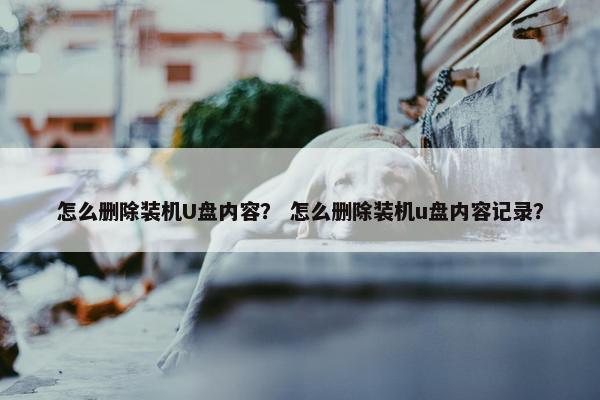 怎么删除装机U盘内容？ 怎么删除装机u盘内容记录？