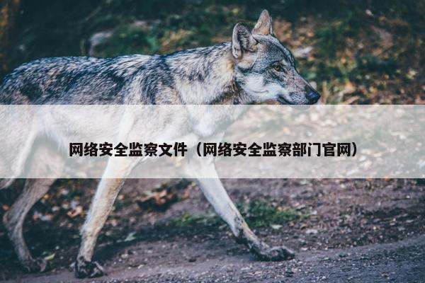 网络安全监察文件（网络安全监察部门官网）