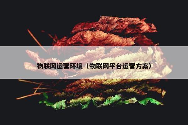 物联网运营环境（物联网平台运营方案）